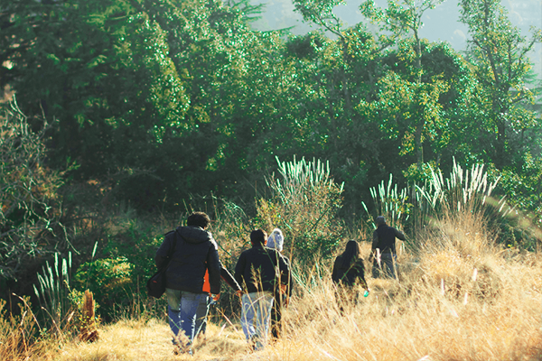 bandhav garh national park